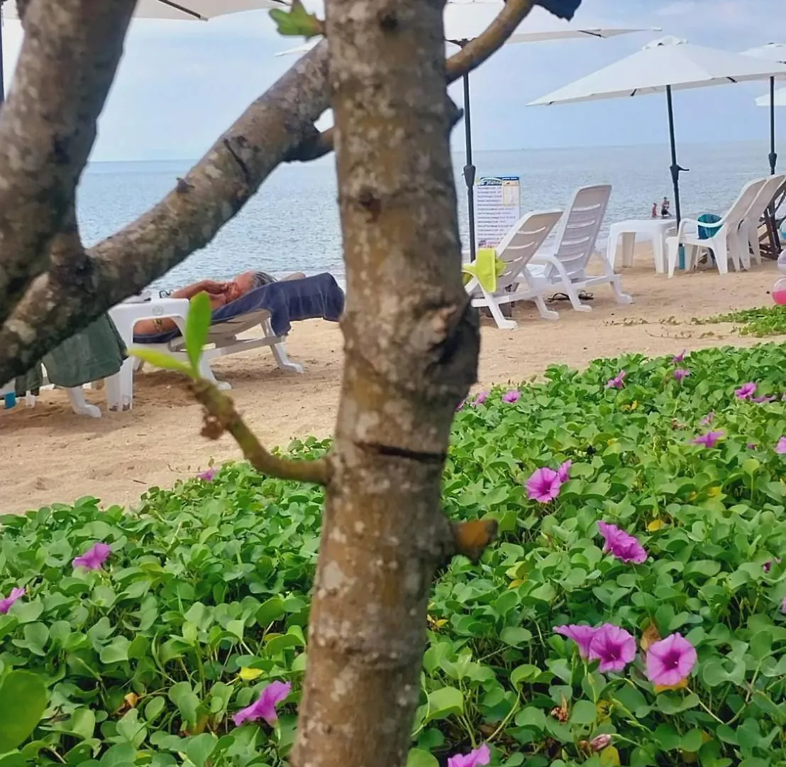 Walden Koh Lanta - Tiny Homes By The Sea 假日公园